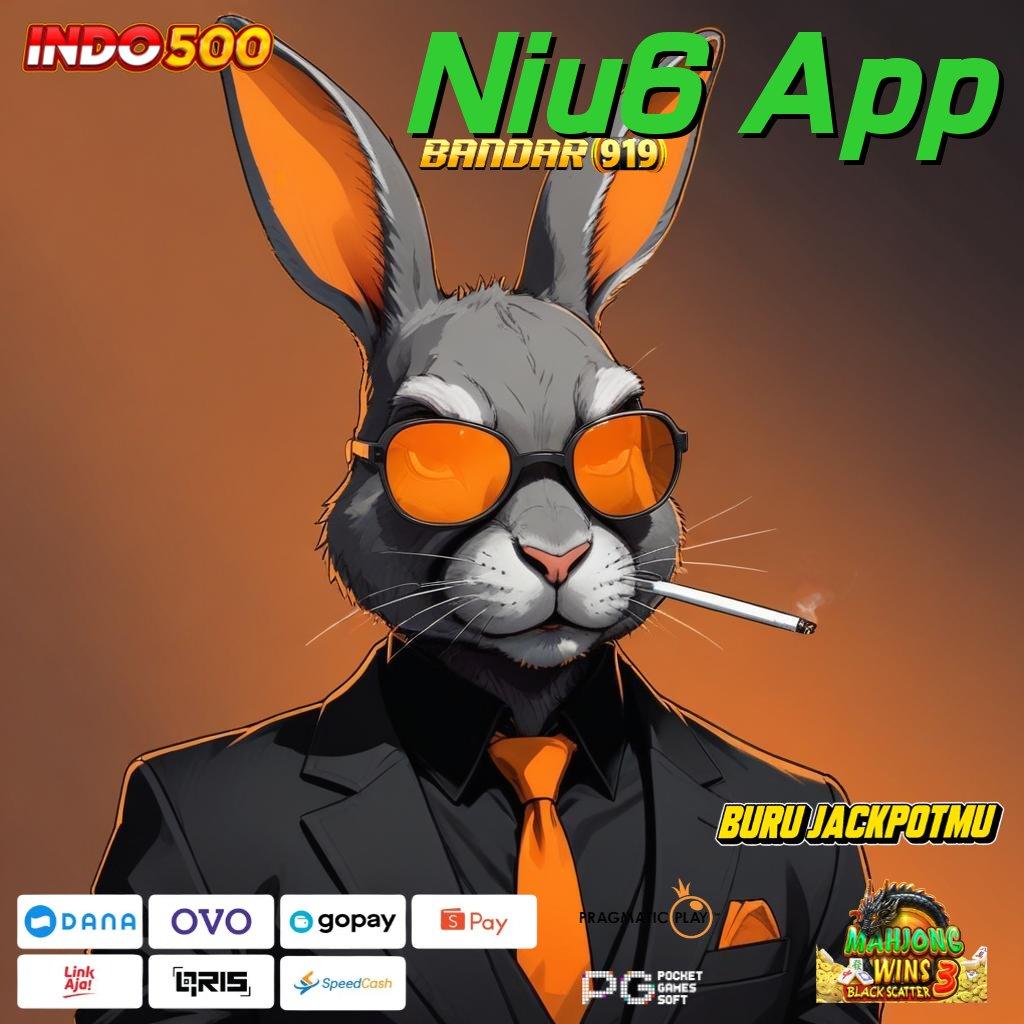 Niu6 App